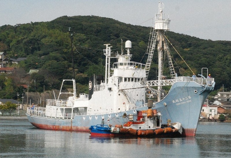 第25Ｔ　日本捕鯨船　大型模型 0c10.jpg?1