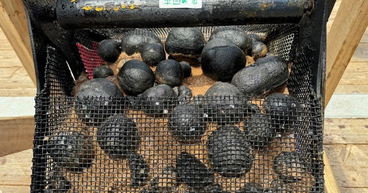 ういるそんページ　南鳥島　マンガン団塊　ペントランド　コバルト　小笠原 レアメタル豊富なマンガン団塊、南鳥島の近海に…コバルト75年