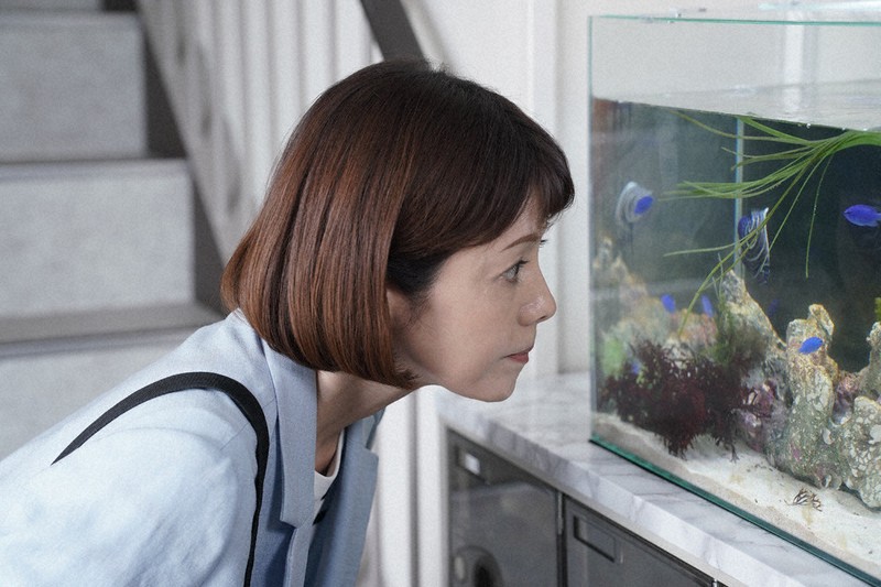 フォーカス：沢口靖子 「科捜研の女 season24」榊マリコ役 おかげさま