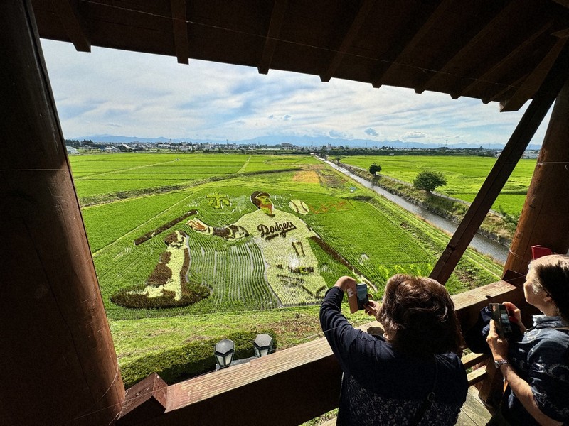 ヴィトンアート　デコピン 岩手県奥州市にある大谷翔平選手とデコピンを描いた田んぼアートを見