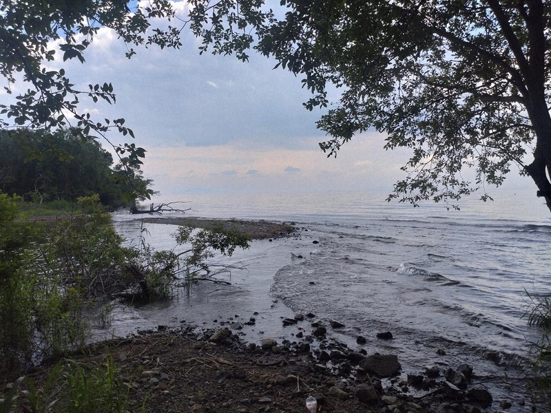 琵琶湖に道ができている」と通報 湖岸に無許可の通路 県が告発 [写真