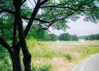 相続した不要な土地に光明か(anjiro/PIXTA)
