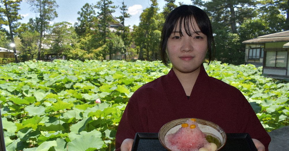 蓮の花をモデルにネアリカで作りました。 Nov. 21, 2025 9 cm x 9 cm (app. 4