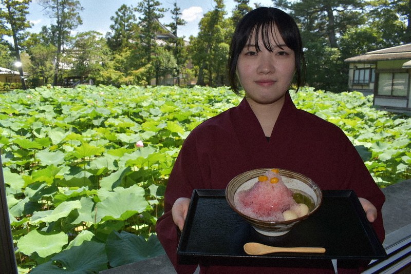 ハスの花イメージ、かき氷 津・専修寺「和彩AKARI」 「実」トッピング