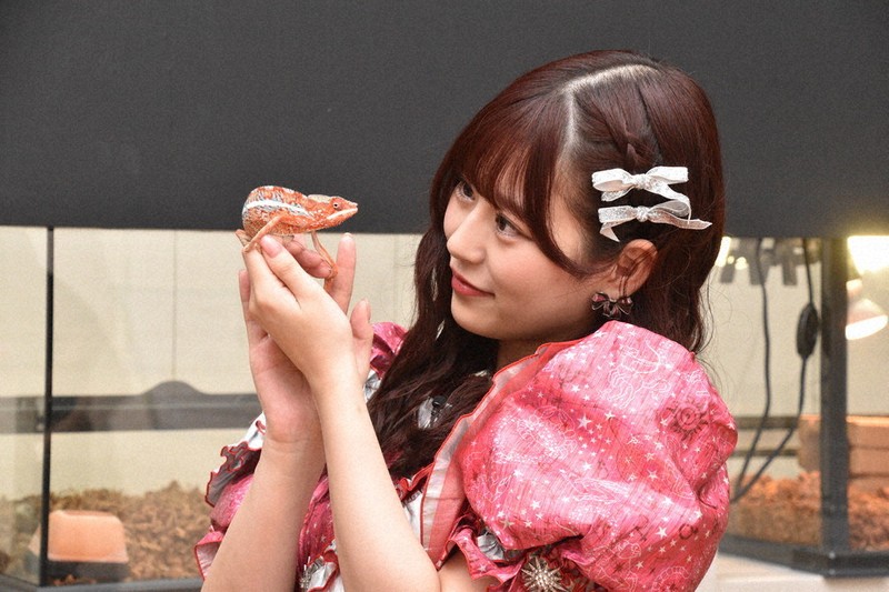 展覧会アンバサダー「FRUITS ZIPPER」 月足天音さん、設営進む会場見学