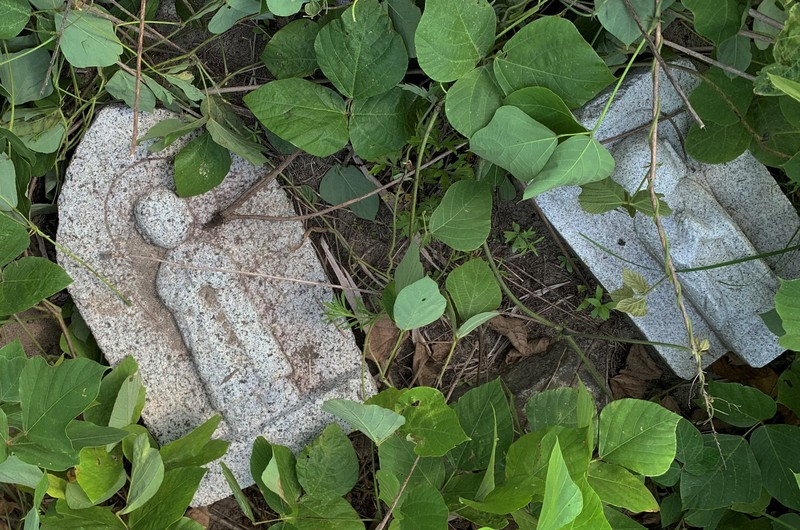 墓地退化 あいうえお様専用【CS優勝】ドロマー墓地退化リペア デッキ デス