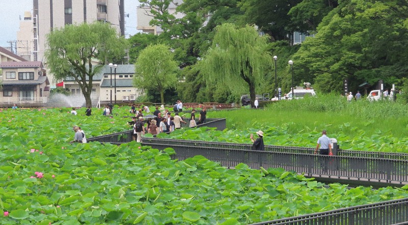 お堀に254メートル 遊歩道完成 秋田・千秋公園 ／秋田 | 毎日新聞