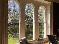 The view of the aged cherry tree from Damian Flanagan's window (Damian Flanagan)