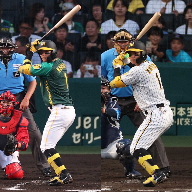 阪神タイガース関本賢太郎使用バット、手袋 （関本賢太郎氏 1軍