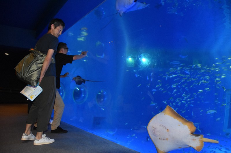 避難のペンギンたち戻る 地震から半年、「のとじま水族館」営業再開