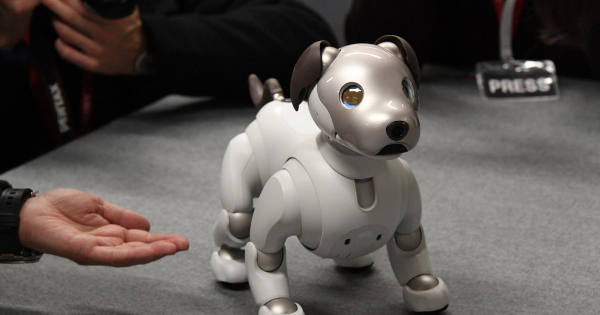 犬型ロボット「aibo」 血液内科の無菌室で活躍 東京医科大 | ヘルス