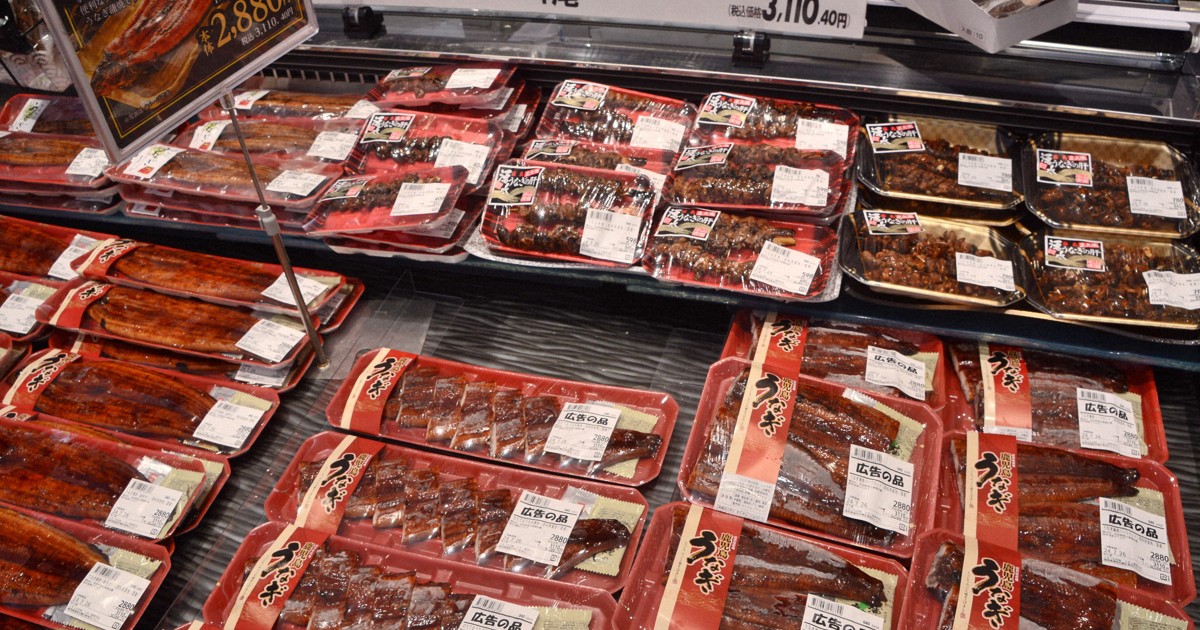 特大うなぎ　市場から直送 楽天市場】特大うなぎ蒲焼 600g（300g×2尾）肉厚 鰻 うなぎ ウナギ