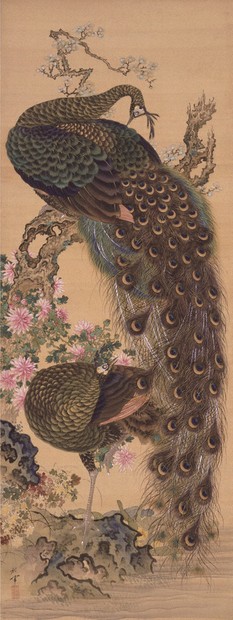 ART：千葉市美術館で岡本秋暉展 鮮麗「孔雀図」、名手の筆