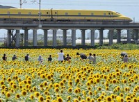 (Mainichi/Koji Hyodo)