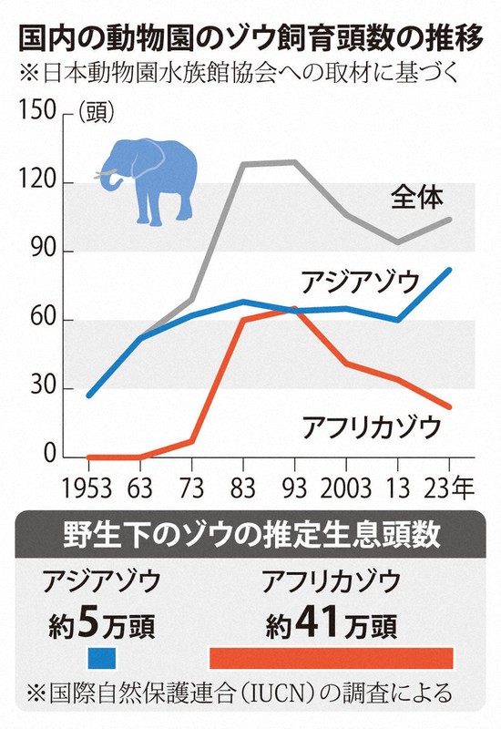 37年前にグアムで購入した象 象好きには、、、、たまりません。 37年前にグアムで購入した象 象好きには、、、、たまりません。