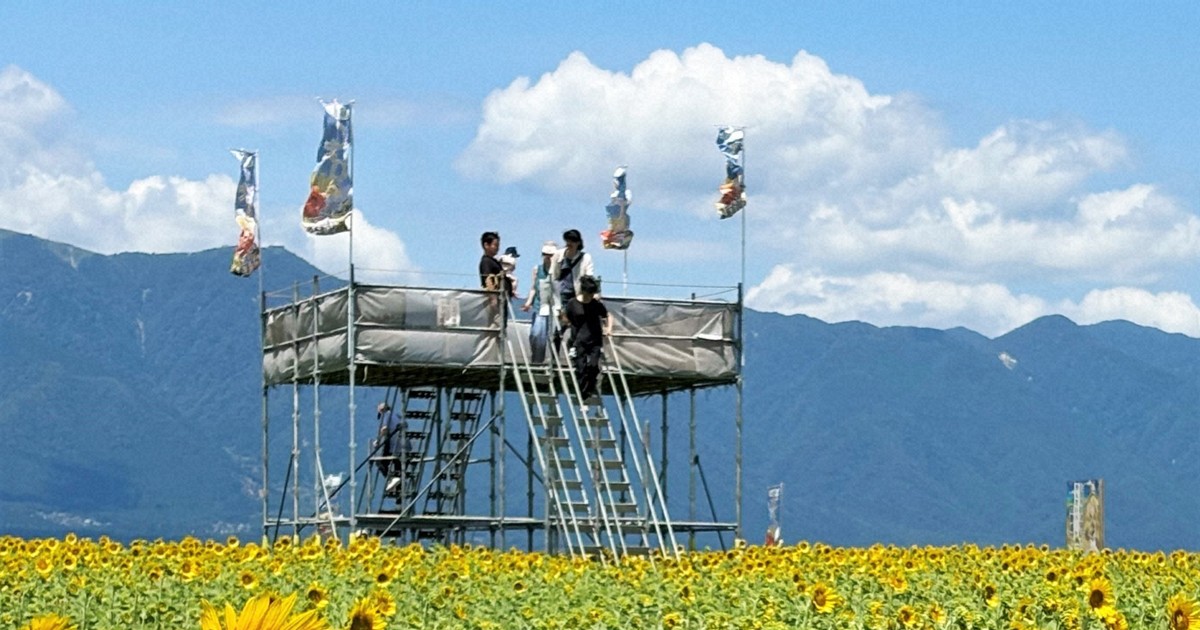 Easy Japanese news in translation: 60,000 sunflower maze event