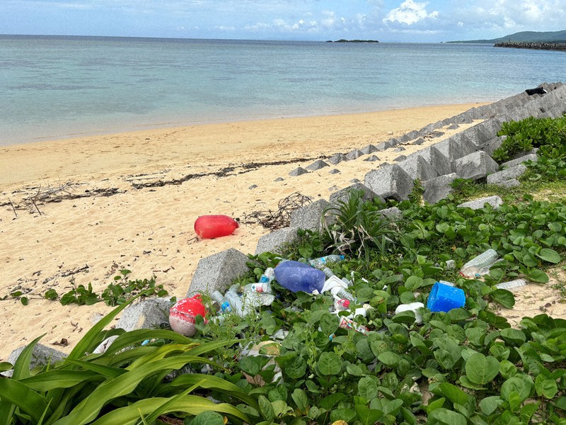 更紗様　琉球*海花のたね 更紗様琉球*海花のたね