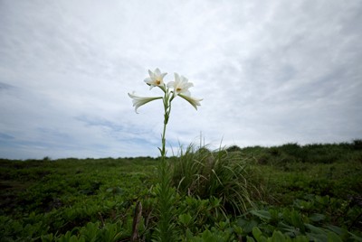 平和教育はもはや限界なのか　沖縄で起きている二つの問題