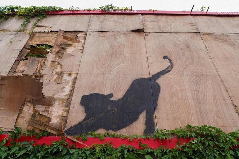 バンクシー：バンクシー、新作次々と 異例の9日連続 意図は不明 | 毎日新聞