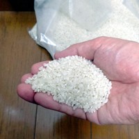 コメの品薄状態が続いている＝2024年8月14日、坂巻士朗撮影