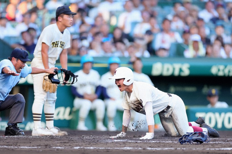 第88回 全国高校野球 甲子園 記念ボール 早稲田実業学校 早実 優勝記念