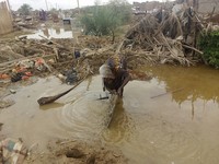 A woman sorts through floodwaters near her damaged home near the city of Abu Hamdan in Northern Sudan on Aug. 7, 2024. (AP Photo/ Samira Hassan)