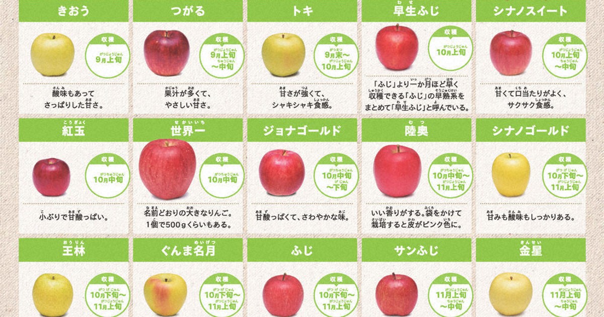 わたしのふるさと便：お国トリビア 青森県 次代のファンを りんご