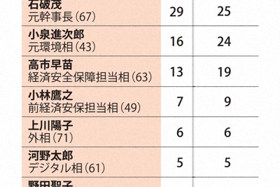次の自民党総裁に選ばれてほしい人①
