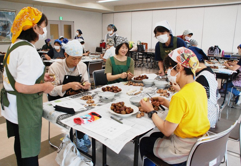 栗の「むき子さん」育成強化 高齢化で最盛期の1割に 茨城・笠間 | 毎日新聞