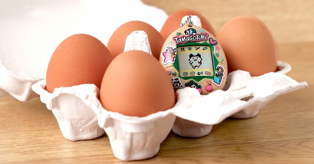 本物の卵でできた「たまごっち」 素朴な一言で実現 廃棄殻を再利用