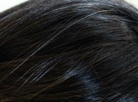 Strands of gray hair is seen on a person with black hair in this photo taken on Aug. 29, 2024. (Mainichi/Harumi Kimoto)