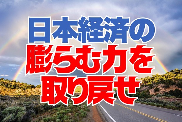 NISAの見直し術：新政権は成長投資で日本の“膨らむ力”を取り戻せ