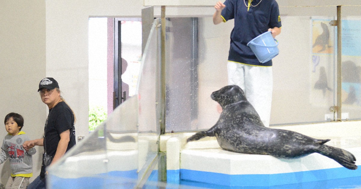 アザラシ博士 NHKカルチャー】オホーツクとっかりセンター・アザラシランド飼育