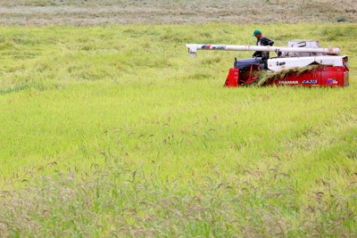 収穫される新米＝佐々木順一撮影