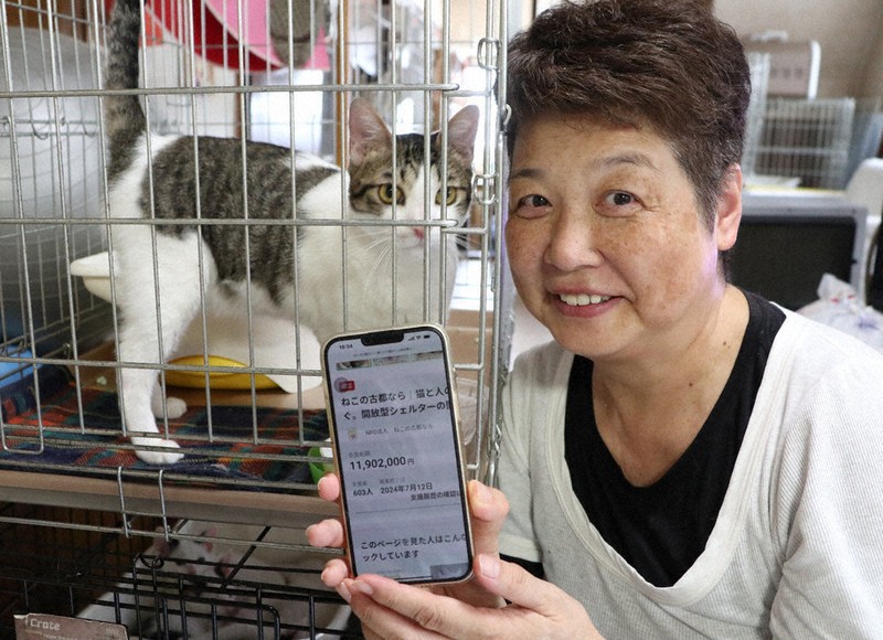 期待と善意に感謝」保護猫施設の開設決定 CF目標達成 奈良 | 毎日新聞