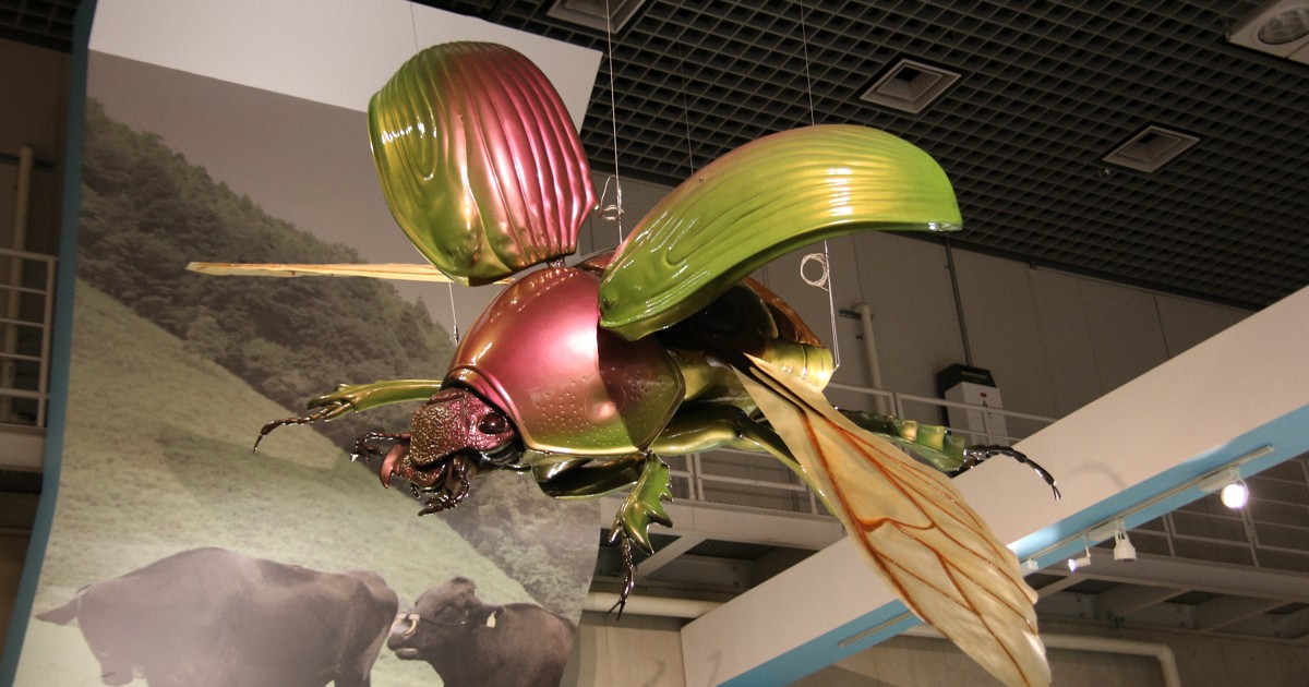 うんこ虫」と過ごした4年間 絵本作家が面白いと思ったこと | 毎日新聞