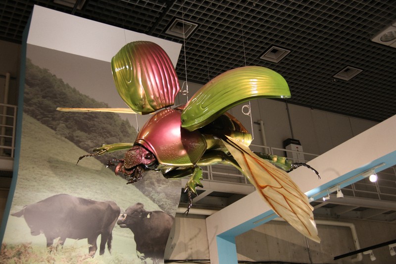 うんこ虫」と過ごした4年間 絵本作家が面白いと思ったこと