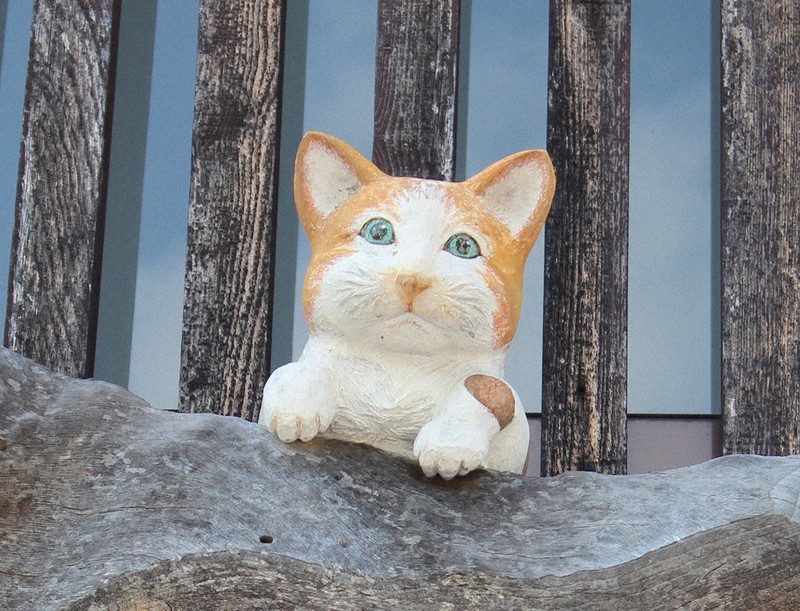 わたしのふるさと便：イチオシマップ 富山県 南砺市「八日町通り」 猫