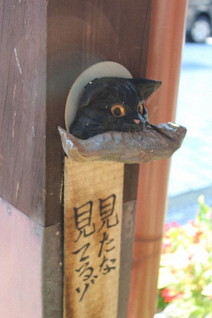 わたしのふるさと便：イチオシマップ 富山県 南砺市「八日町通り」 猫