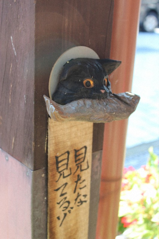 わたしのふるさと便：イチオシマップ 富山県 南砺市「八日町通り」 猫