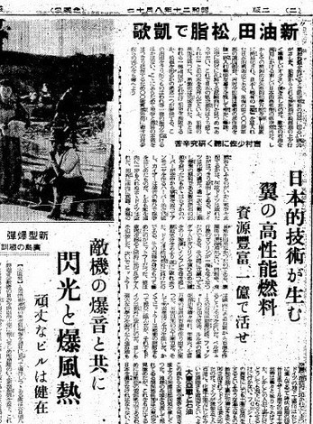 九州・山口の記憶：虹の松原（佐賀・唐津市） 「松根油」の傷痕深く