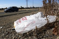 A plastic bag sits along a roadside in Sacramento, Calif., on Oct. 25, 2013. (AP Photo/Rich Pedroncelli, File)