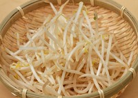 Bean sprouts are seen in the city of Fukuoka's Chuo Ward on Sept. 27, 2024. (Mainichi/Tomohisa Yazu)