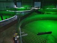 Aquaculture tanks are seen empty after a large number of Kasado flounder died at the Kudamatsu City Center for Stock Enhancement, in the city of Kudamatsu, Yamaguchi Prefecture, on Oct. 1, 2024. (Mainichi/Yoshiyuki Mineshita) 