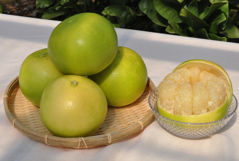 透き通る果肉の「水晶文旦」収穫本格化 高知の秋代表する味覚 | 毎日新聞