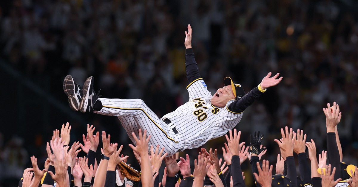 甲子園100周年記念ボール　岡田　彰布＋おまけ多数（2025ファンクラブ限定品） 甲子園100周年記念ボール(岡田彰布監督)(硬式球) 未開封（阪神