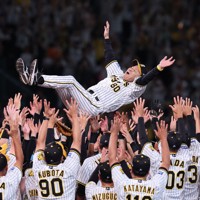 岡田監督　2023年優勝記念ボブルヘッド Amazon.co.jp: 岡田 監督 胴上げ ボブルヘッド 阪神タイガース