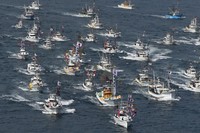 (Mainichi/Takashi Kamiiriki) 