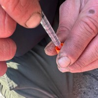 ヘロインとメタンフェタミンを混ぜて液体状にしたものを注射器で吸い上げる男性＝米東部フィラデルフィア市ケンジントン地区で2024年6月25日、中村聡也撮影