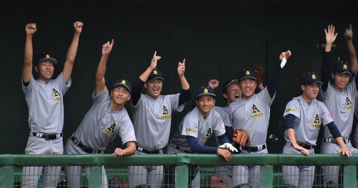 青森山田、花巻東が準決勝へ 高校野球秋季東北大会 | 毎日新聞